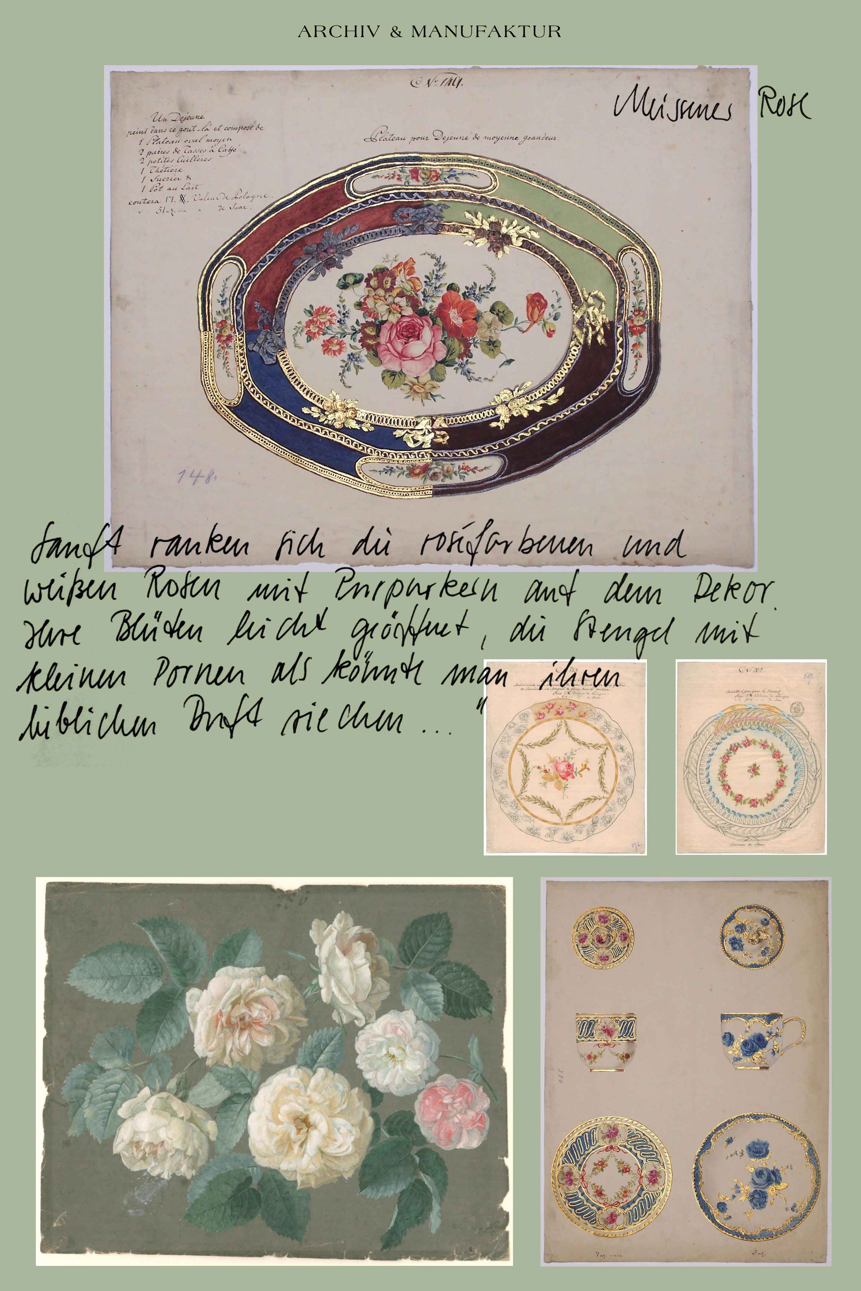 Meissener Rose