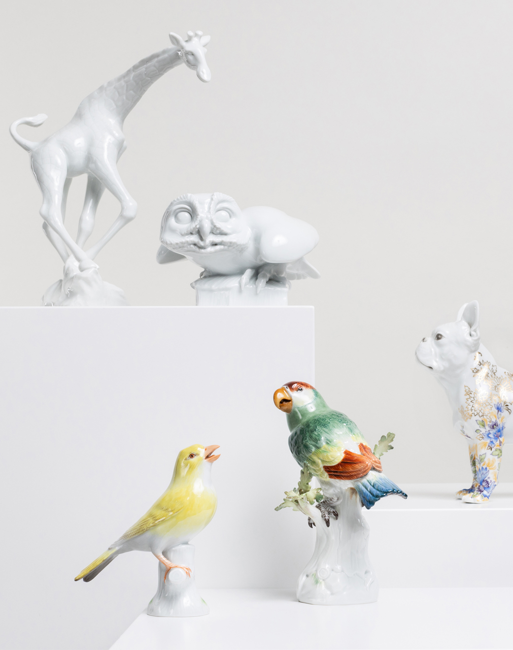 The MEISSEN Collage