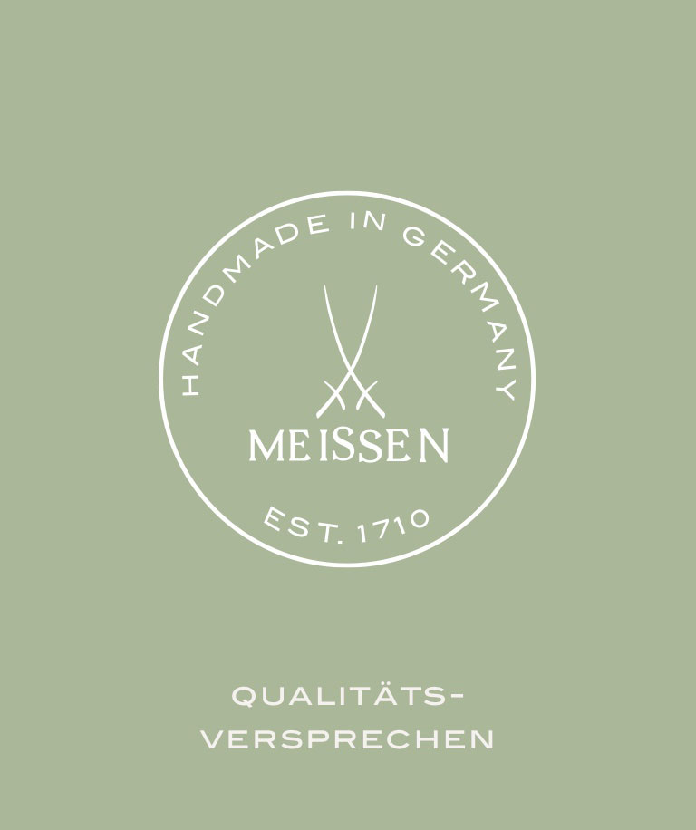 Icon Qualität